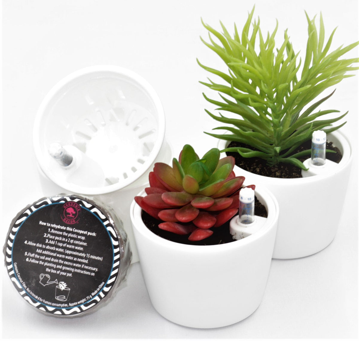 succulent round pot Round Succulent Pots – Garden Cyclone