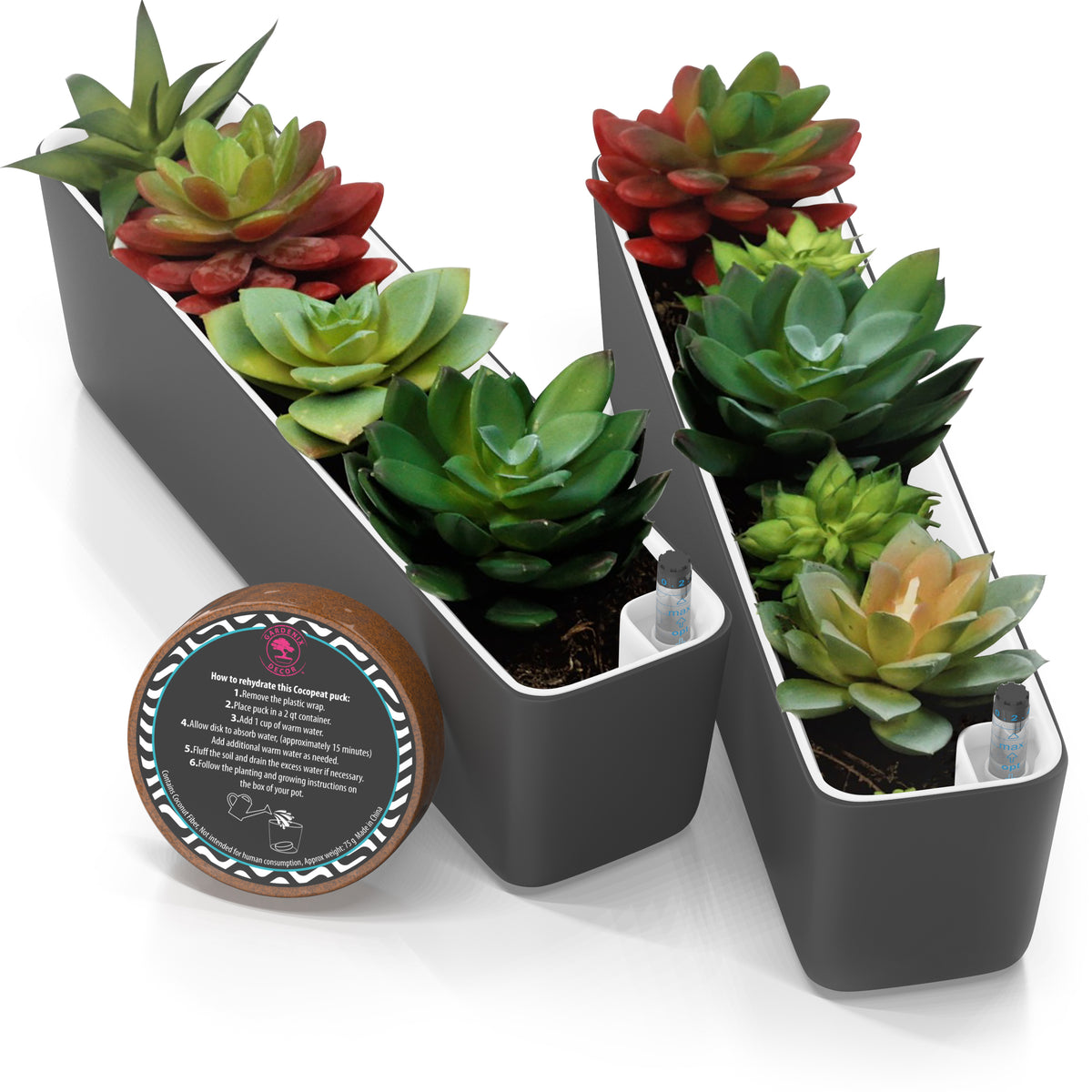 2.5 succulent pots Rectangular Succulent Pots – Garden Cyclone
