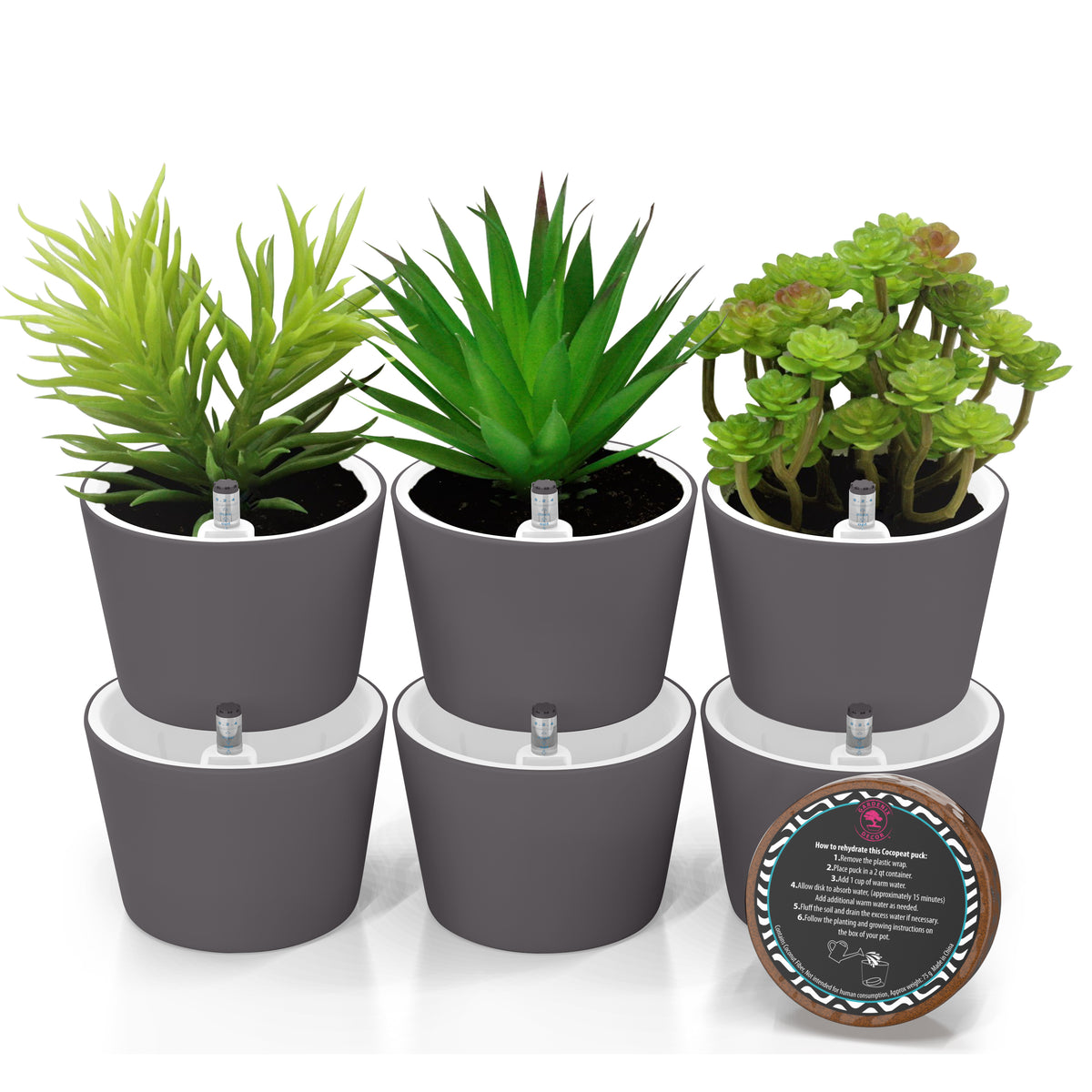 warehouse pots for plants New Round Succulent Pots – Garden Cyclone