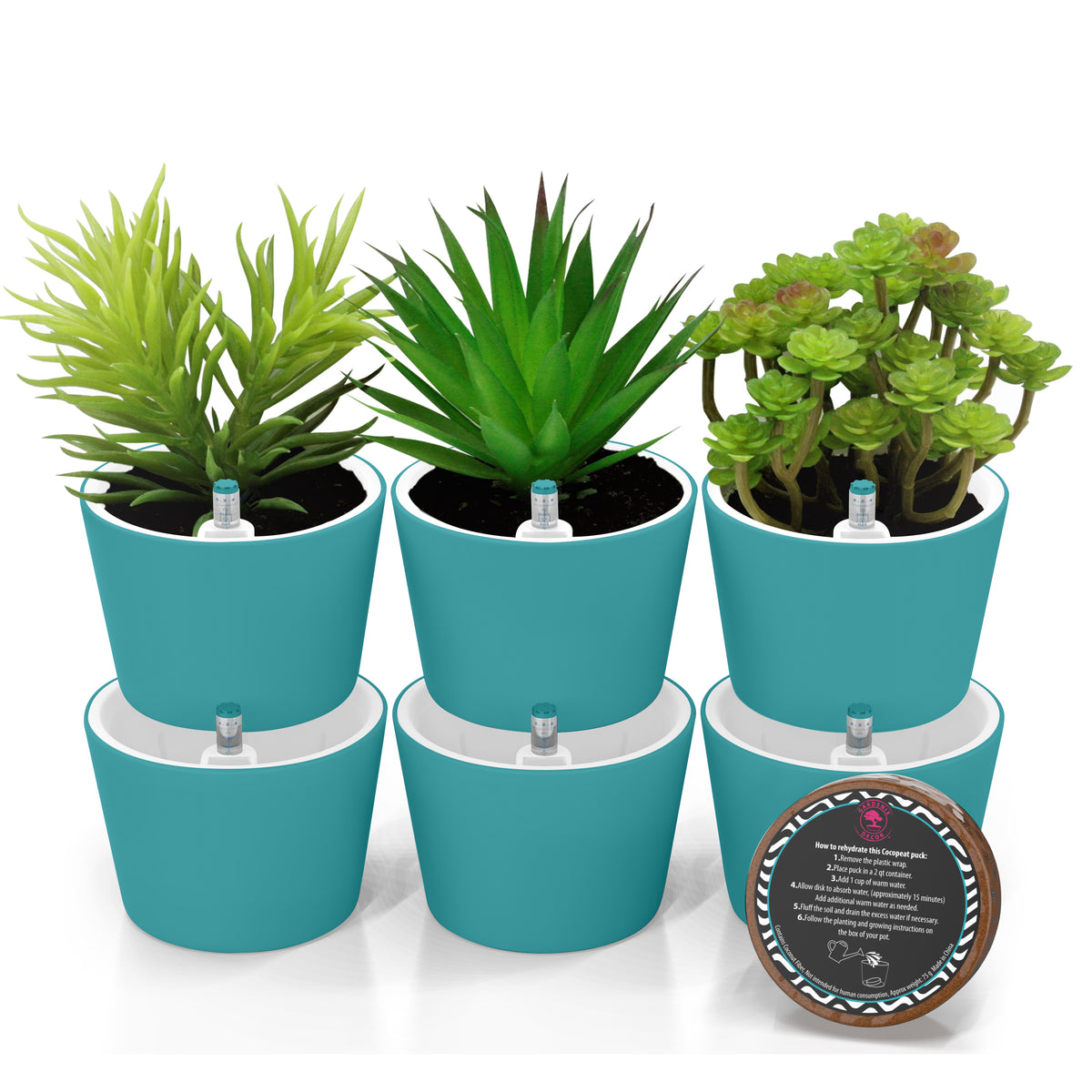 1 qt plant pot New Round Succulent Pots – Garden Cyclone