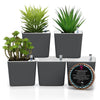 New Square Succulent Pots