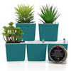 New Square Succulent Pots