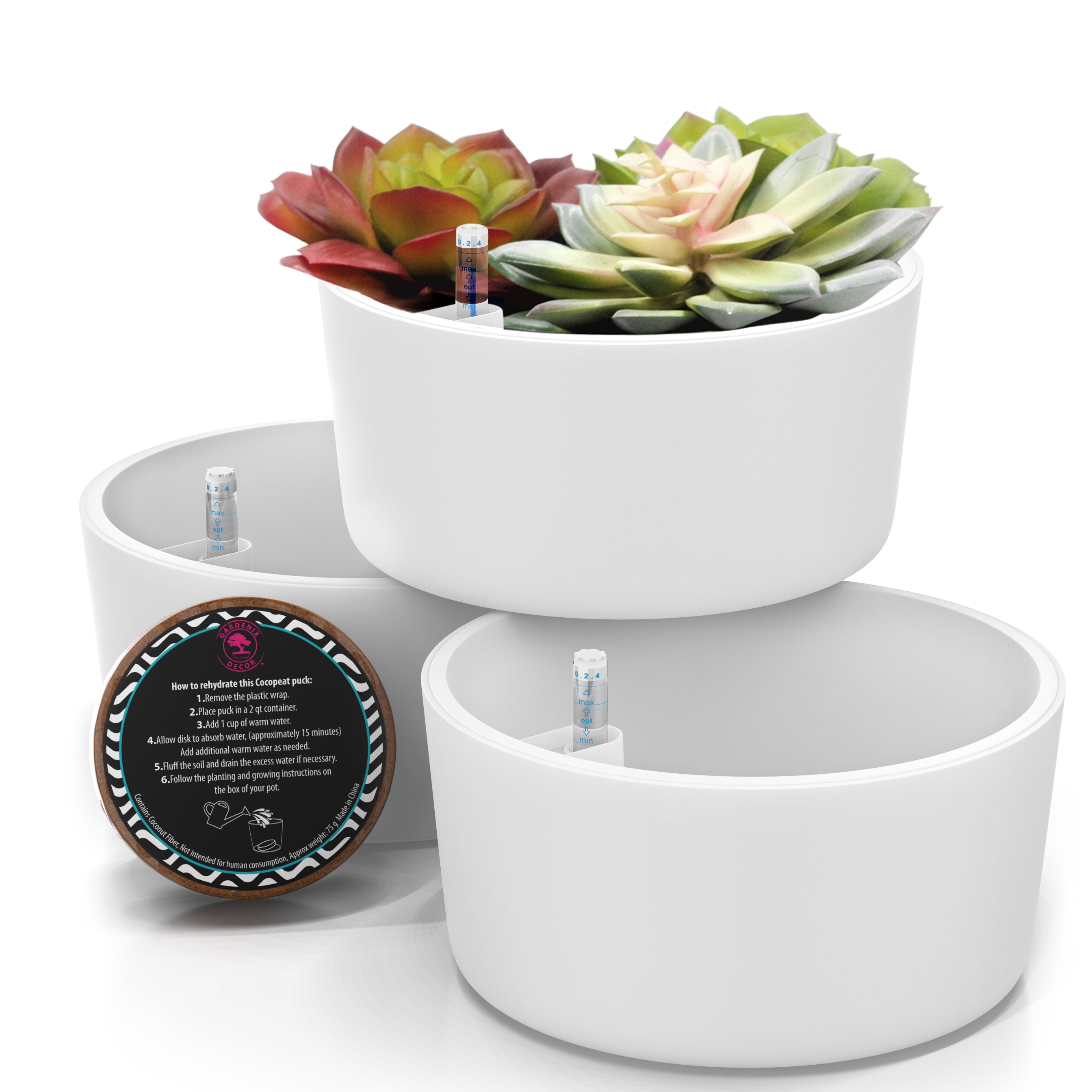 round succulent pot Round Succulent Pots – Garden Cyclone
