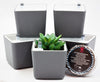 Rectangular  Succulent Pots