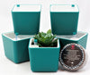 Rectangular  Succulent Pots