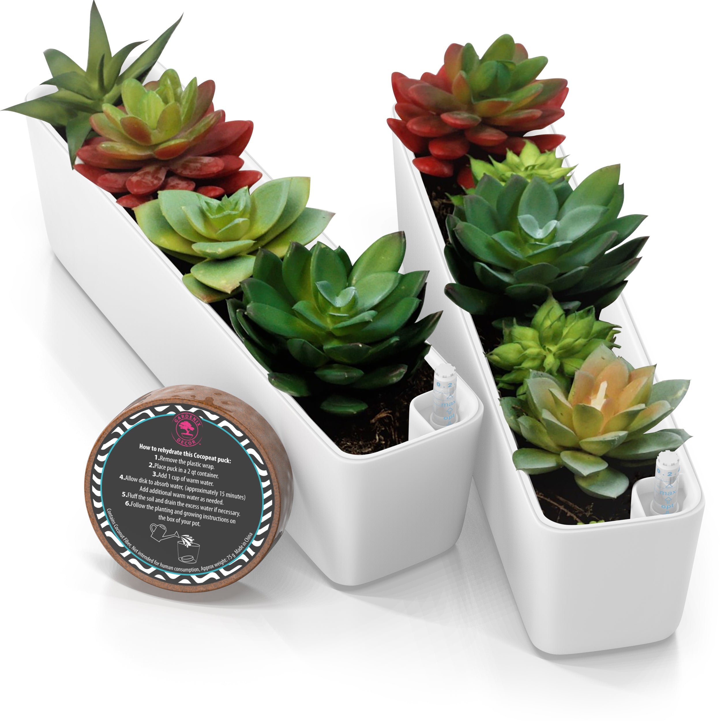 rectangular pots for succulents Rectangular Succulent Pots – Garden Cyclone