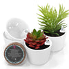 New Round Succulent Pots