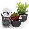 Round Succulent Pots