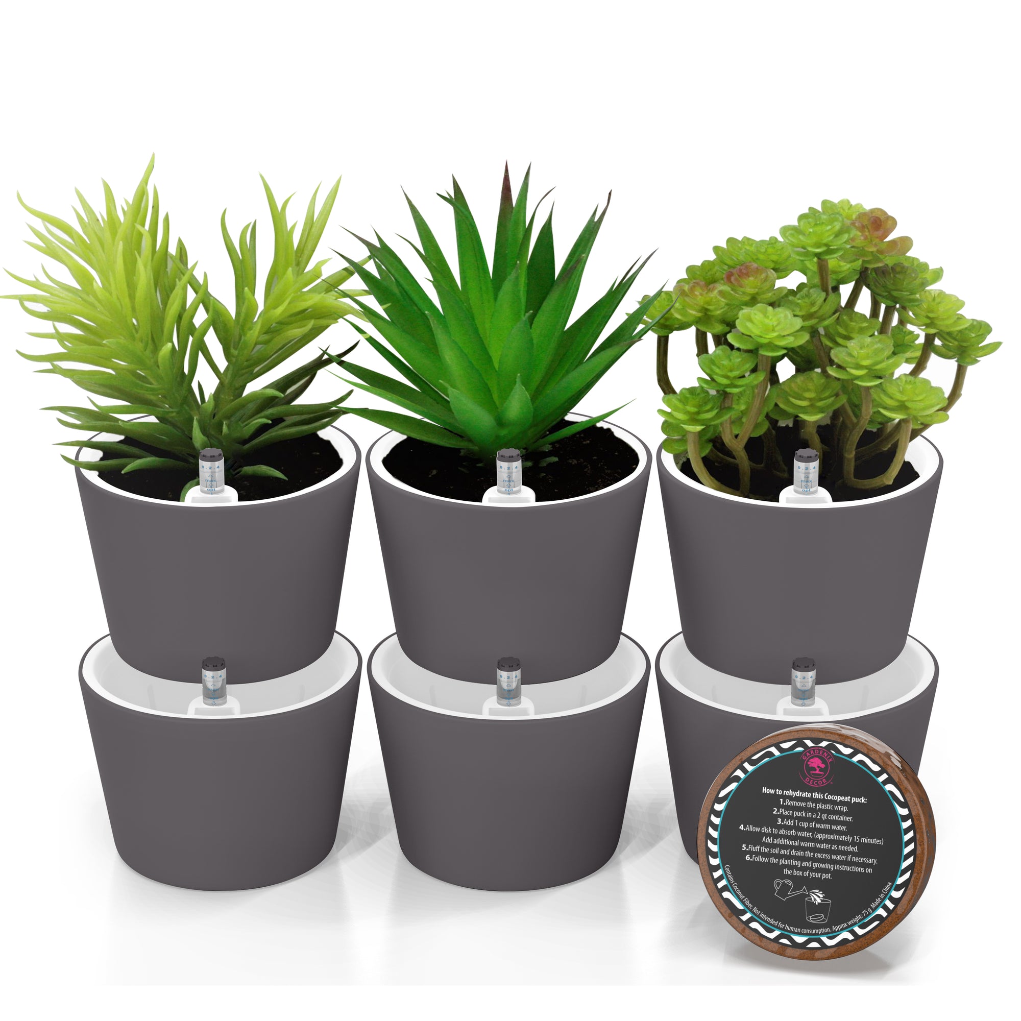New Round Succulent Pots – Garden Cyclone