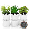 New Round Succulent Pots